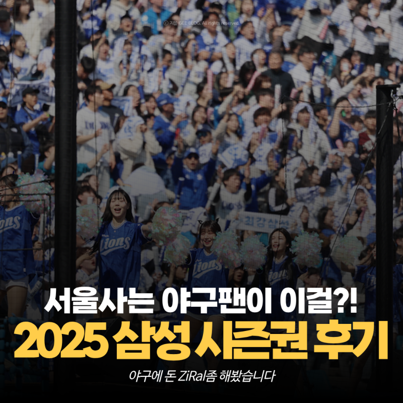 2025 삼성라이온즈 시즌권 이용후기 (1) 서울팬 구매이유, 실구매가격 등