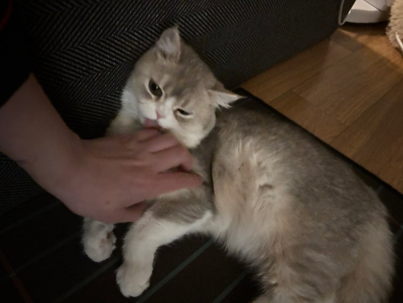 사진 7
