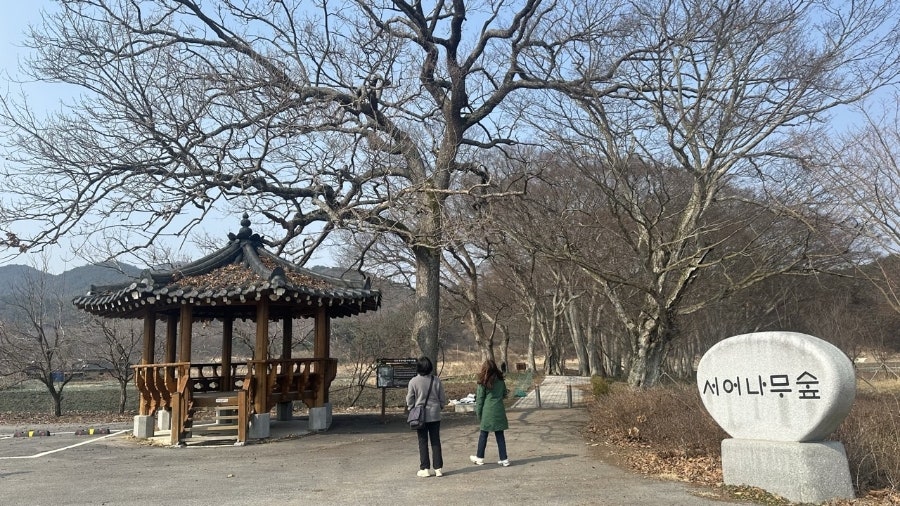 행정마을숲 사진 3