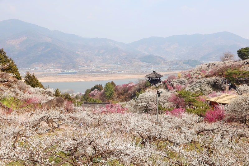 사진 4