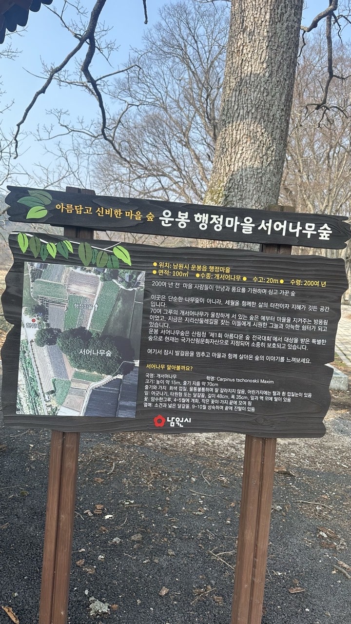 행정마을숲 사진 2