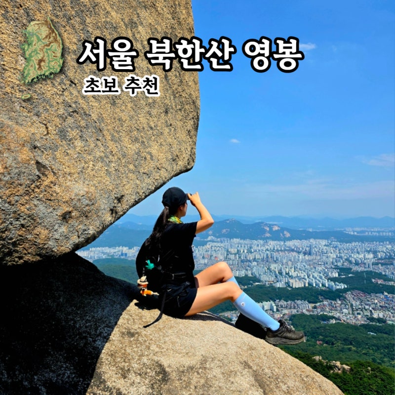 사진 8