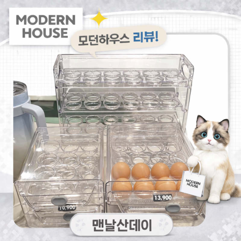 냉장고 정리템 추천 모던하우스 달걀보관함 계란정리함 종류