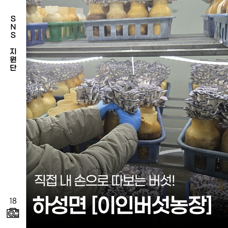 아이들과 가볼 만한 체험농장 김포 이인 버섯농장