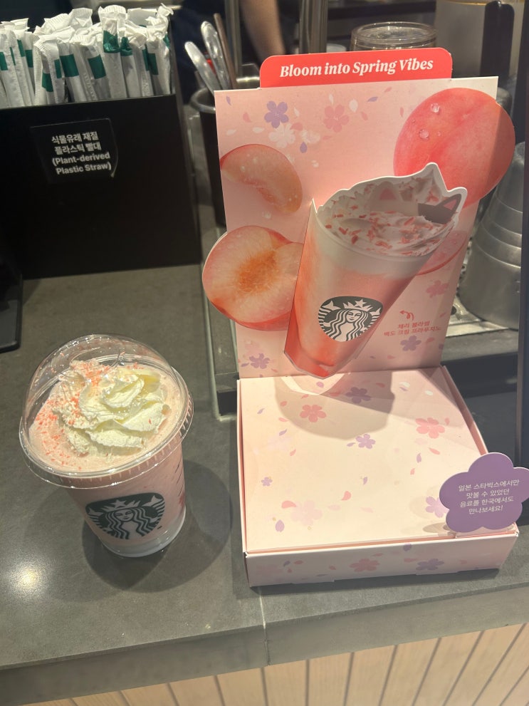  일본스타벅스에서 건너온 신상 프라푸치노 <체리블라썸 백도 크림 프라푸치노> 가격, 칼로리, 영양정보 총정리