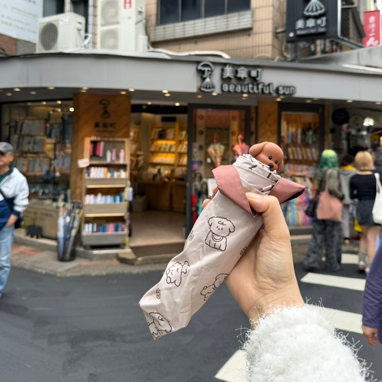 대만 여행 선물 융캉제 마마우산,BUT美傘町ㅣ두 곳 비교 후 양우산 구매