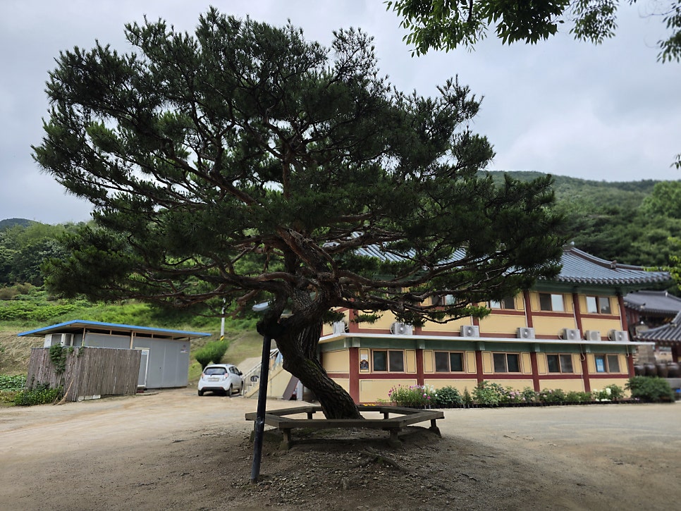 서원산 사진 3