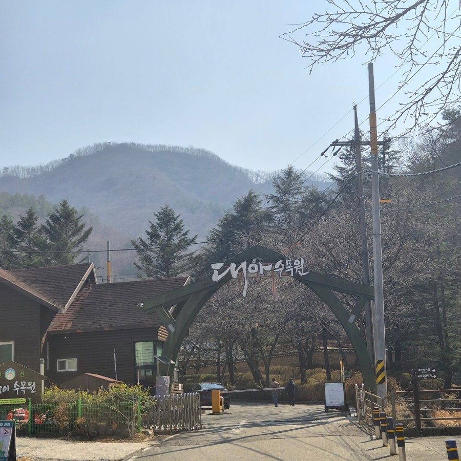 정승댁 사진 5