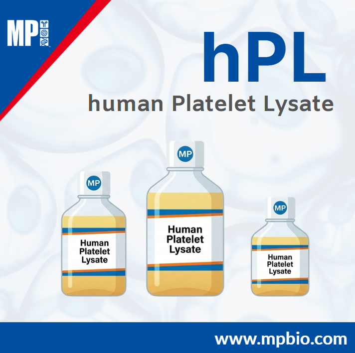  hPL (Human Platelet Lysate): FBS를 대체하는 차세대 Cell Culture Supplement
