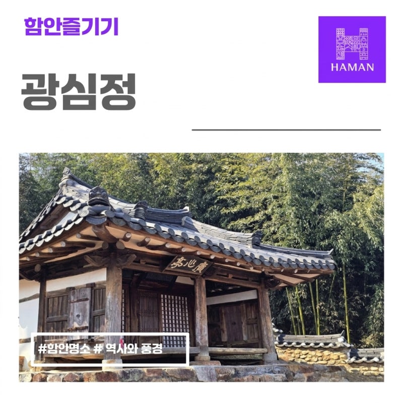 사진 3