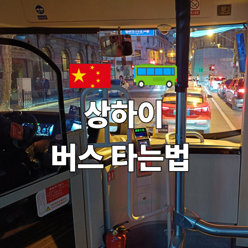 상하이 버스 타는법 처음 가도 쉽게 이용하는 방법