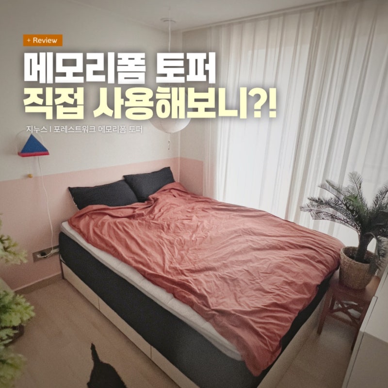 지누스 포레스트워크 메모리폼 토퍼 직접 사용해보니