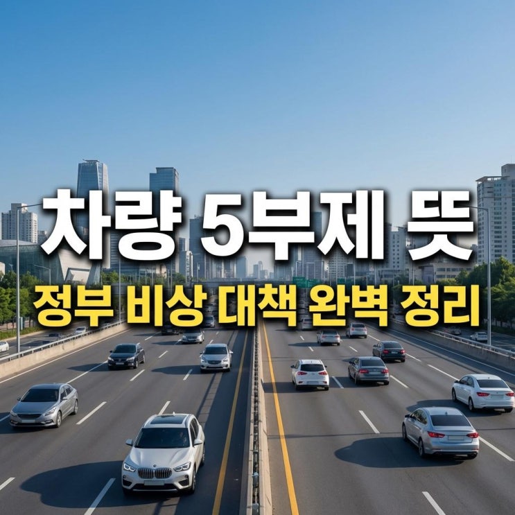  차량 5부제 뜻 중동 전쟁에 따른 정부 비상 대책 완벽 정리