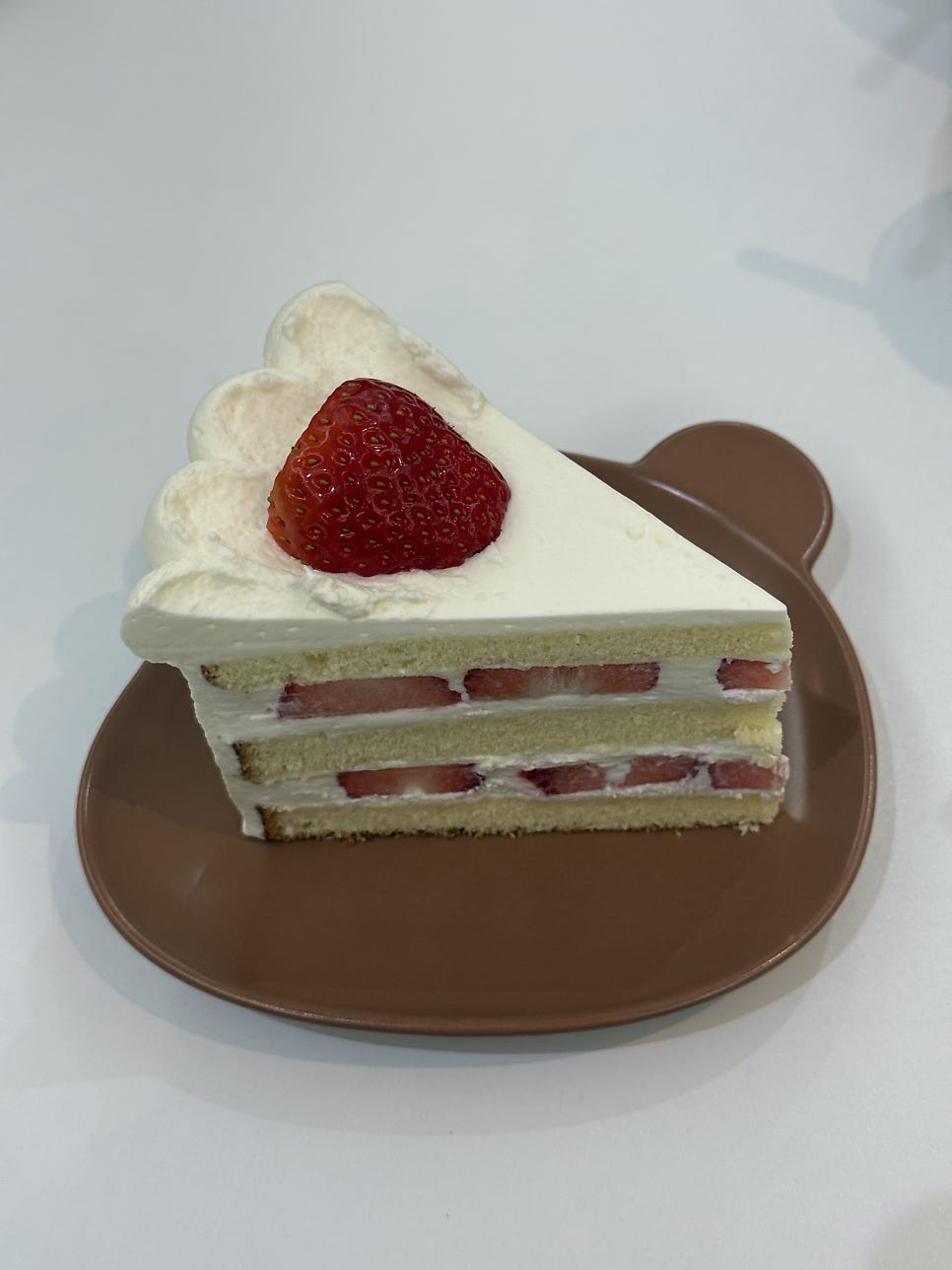 오뉴 사진 6