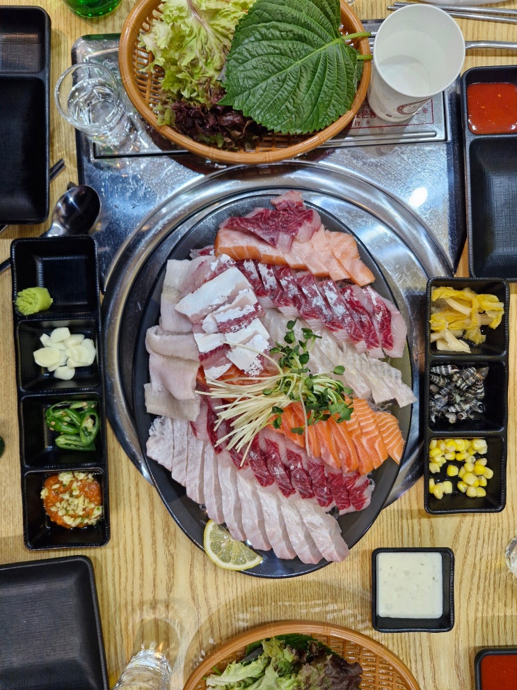  성균관대역 가성비 회 맛집 국가대표회센터 성대본점 솔직 후기