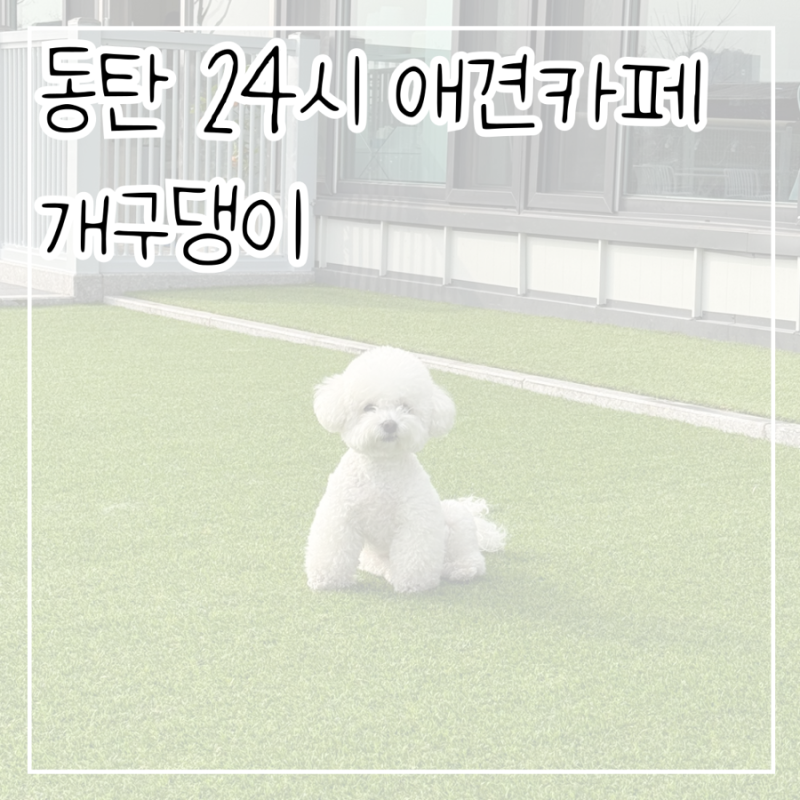 사진 4