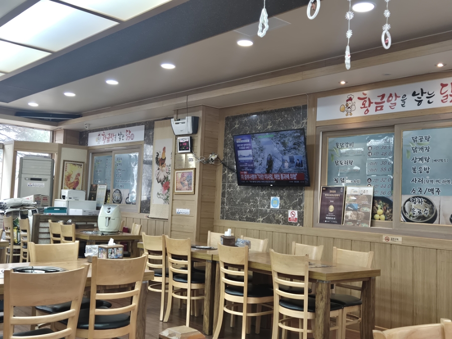 황금알을낳는닭 사진 5
