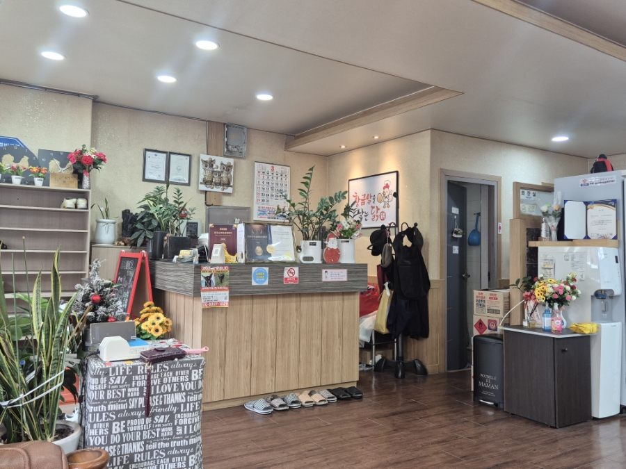 황금알을낳는닭 사진 6