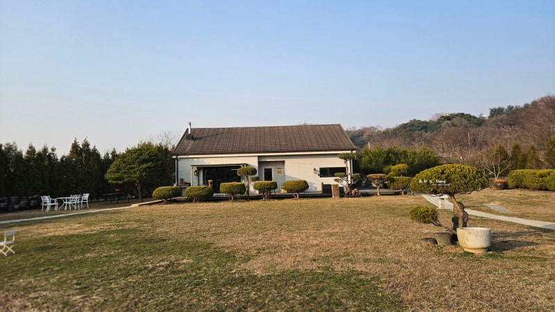 사진 5