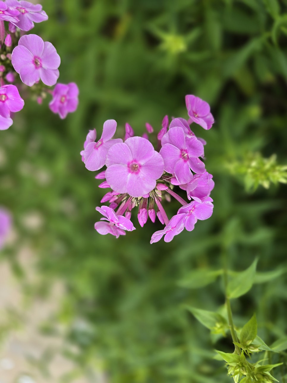 서원산 사진 6