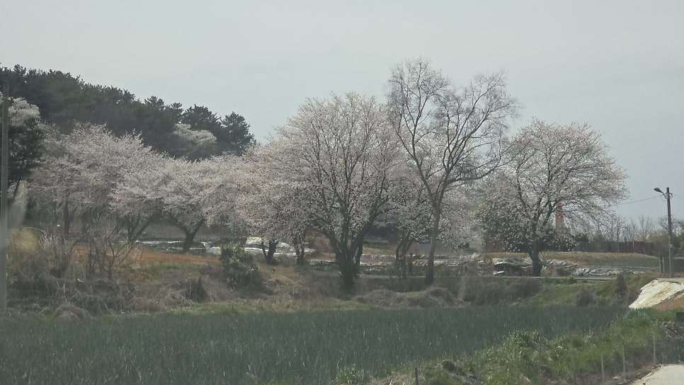 동지산 사진 2