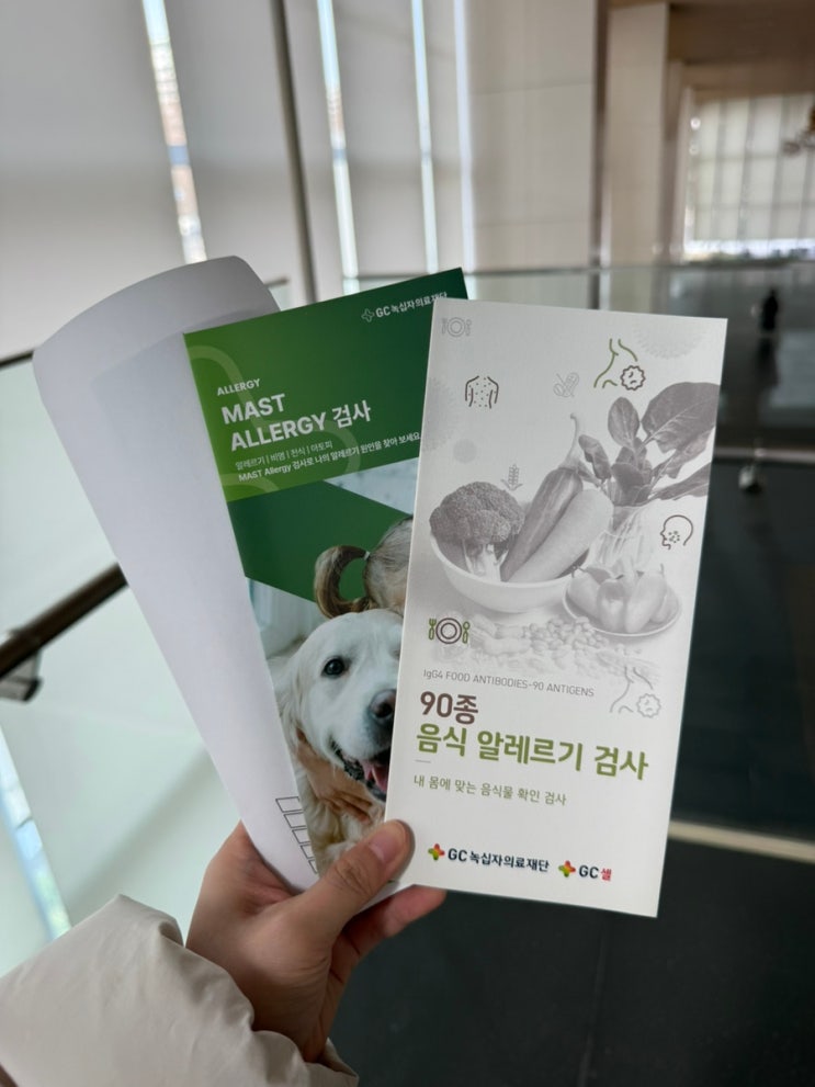  지연성 알러지 검사 병원 잠실역 내돈내산 후기 : 알레르기 검사 비용 및 실비 팁