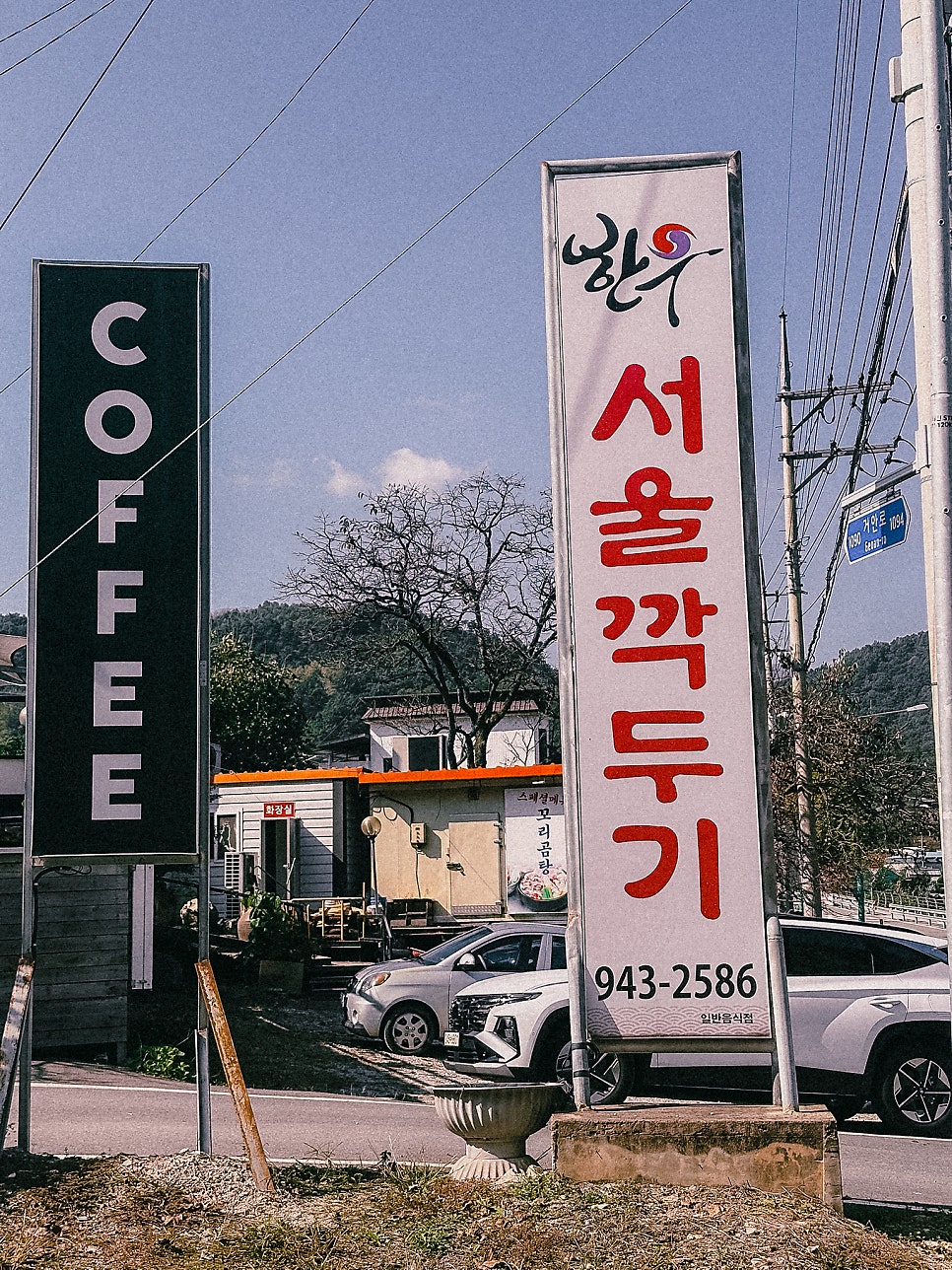 서울깍두기 사진 5