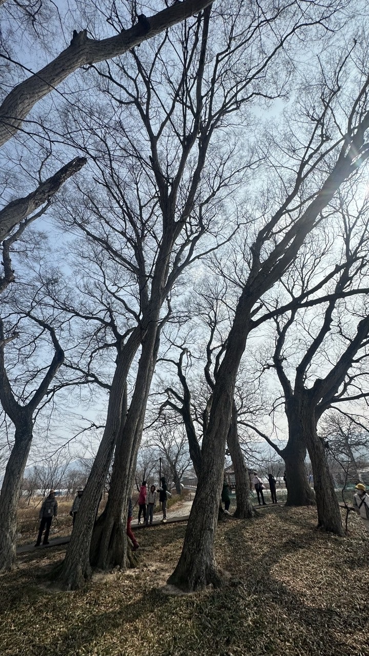 행정마을숲 사진 6