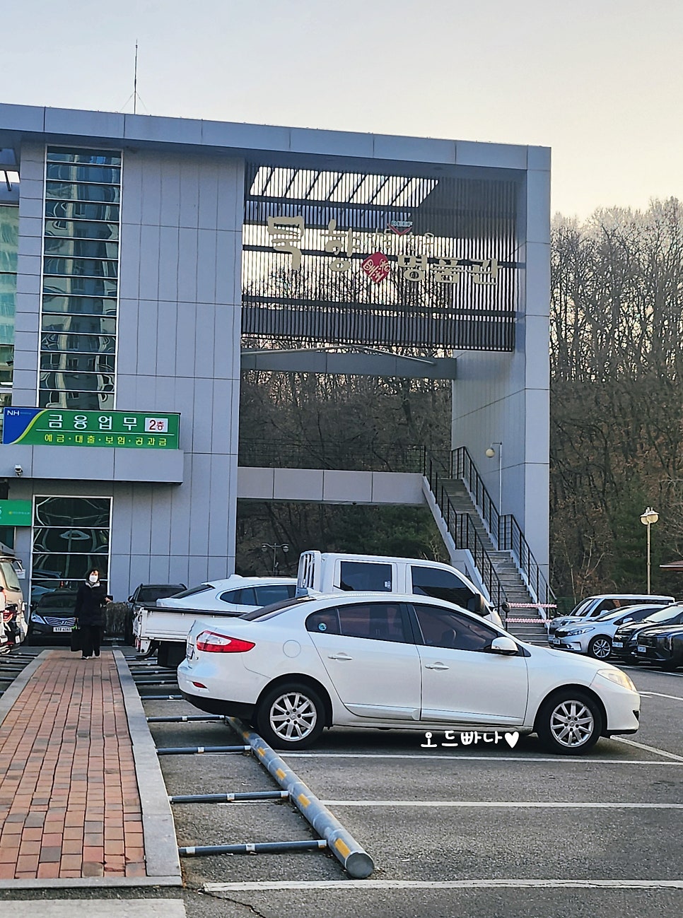 Chomok photo 1
