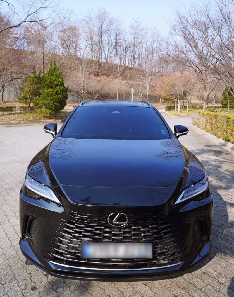 NX에서 갈아탄 패밀리카의 정석 렉서스 RX350h 6개월 실주행 후기.
