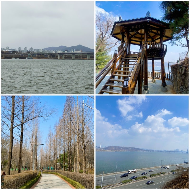 사진 5