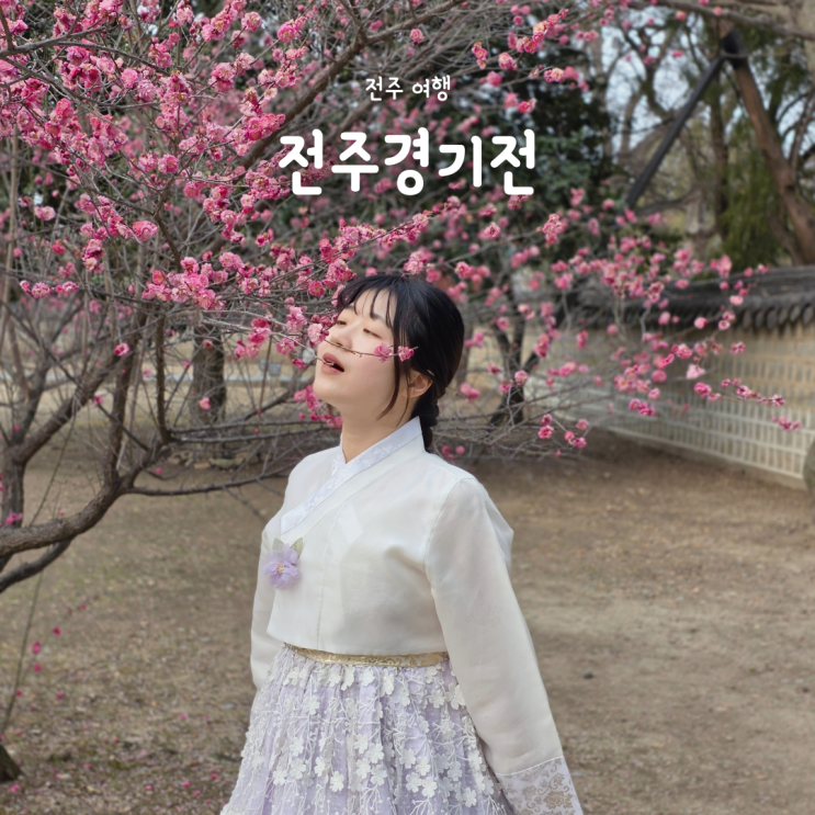  전주여행 코스 추천, 전주경기전 홍매화 대나무숲 포토존