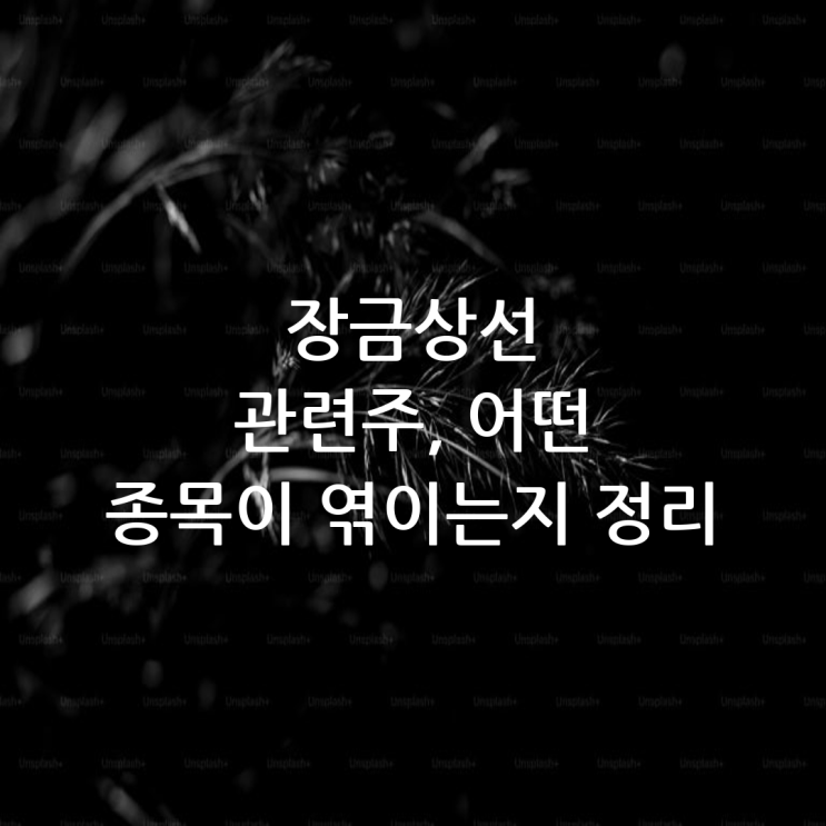 <b>장금상선</b> 관련주, 어떤 종목이 엮이는지 정리