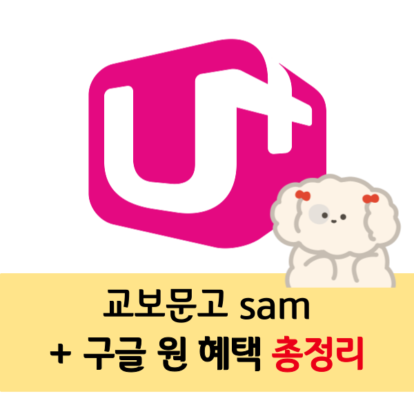 LG U+ 교보문고 sam + 구글 원 부가서비스