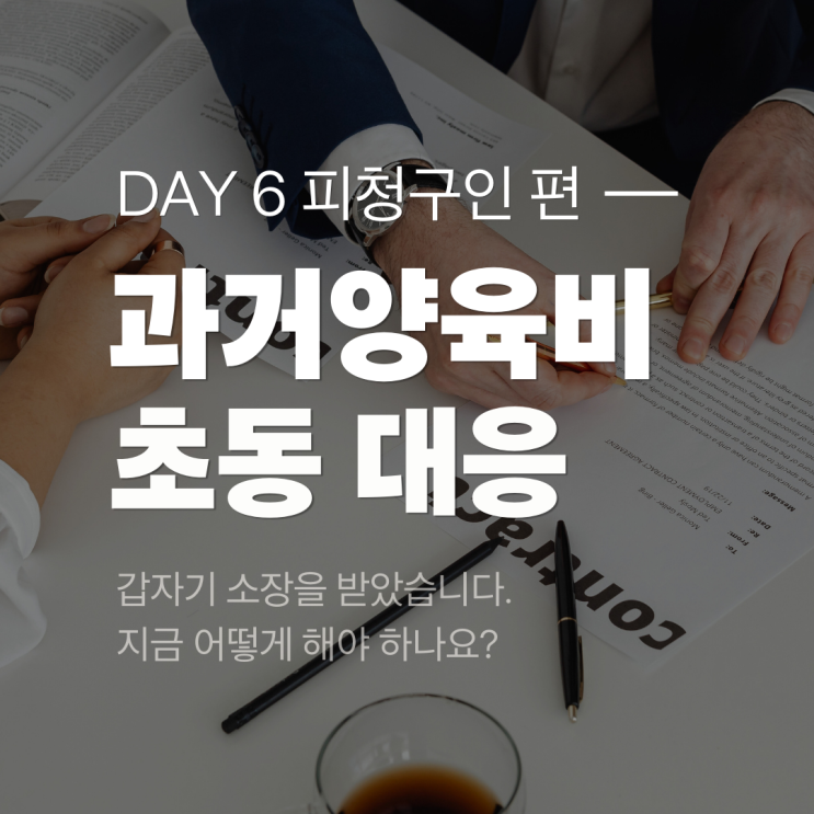  [피청구인 편 1] 갑자기 과거 양육비 소장을 받았습니다, 어떻게 해야 하나요?