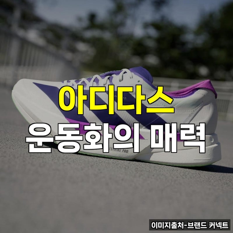 아디다스 운동화 신상 쇼핑몰 다이얼 찍찍이