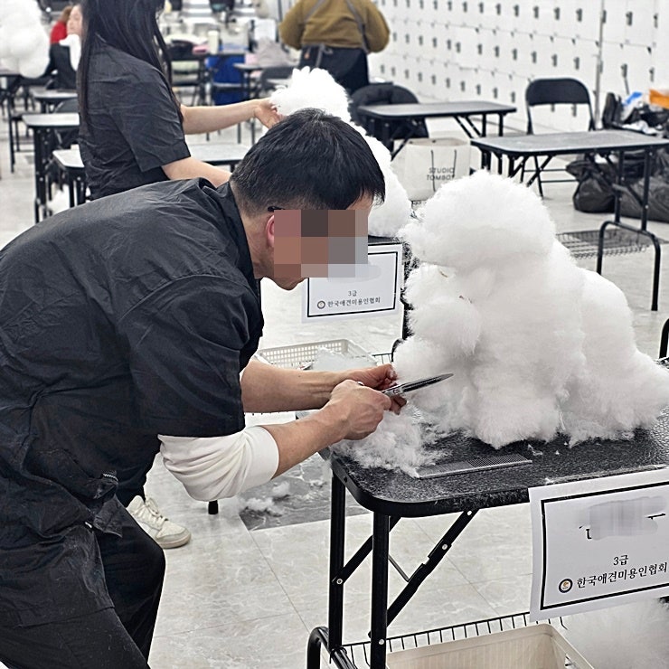  잠실애견미용학원 선택 시 꼭 확인해야 할 5가지