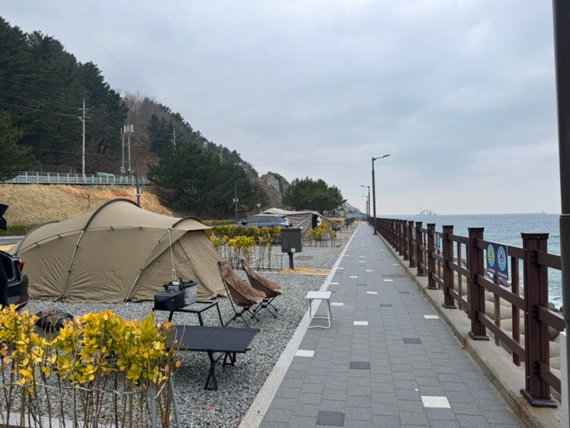 강릉 바닷가 앞에 취사가능 바다내음캠핑장과 안인 희망하우스 명당자리 및 예약사이트