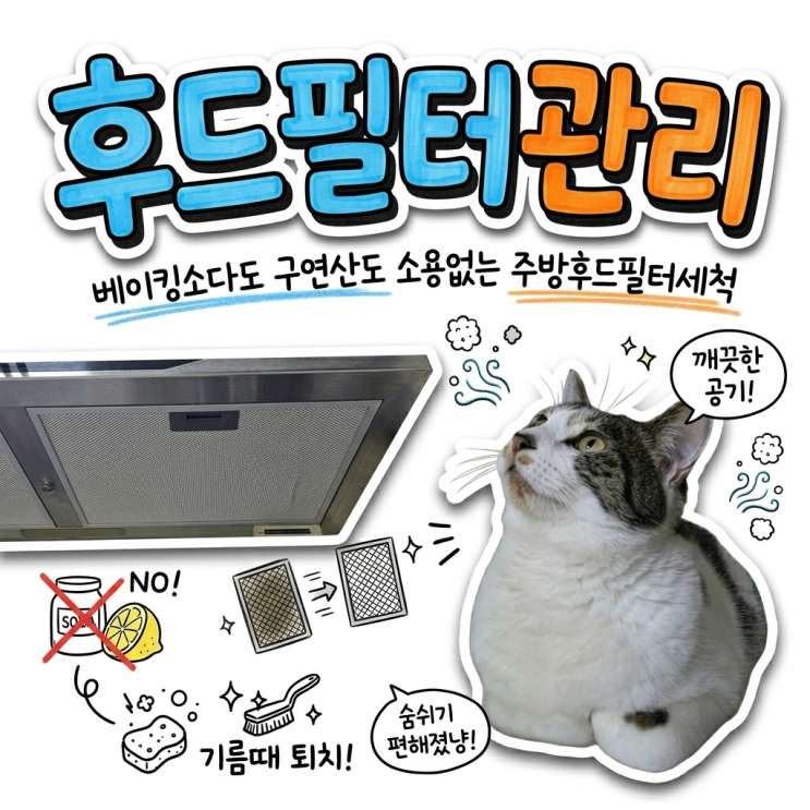  과탄산소다로도 안 닦이는 주방 후드 찌든 때, 알루미늄 필터 교체와 부직포 커버 후기
