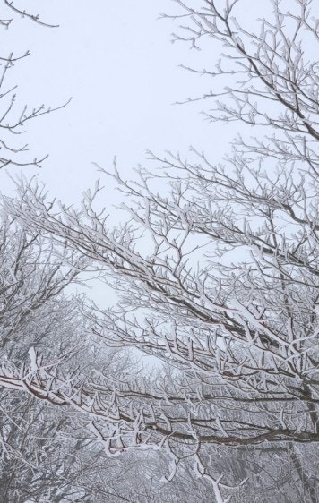 성대수산 사진 2