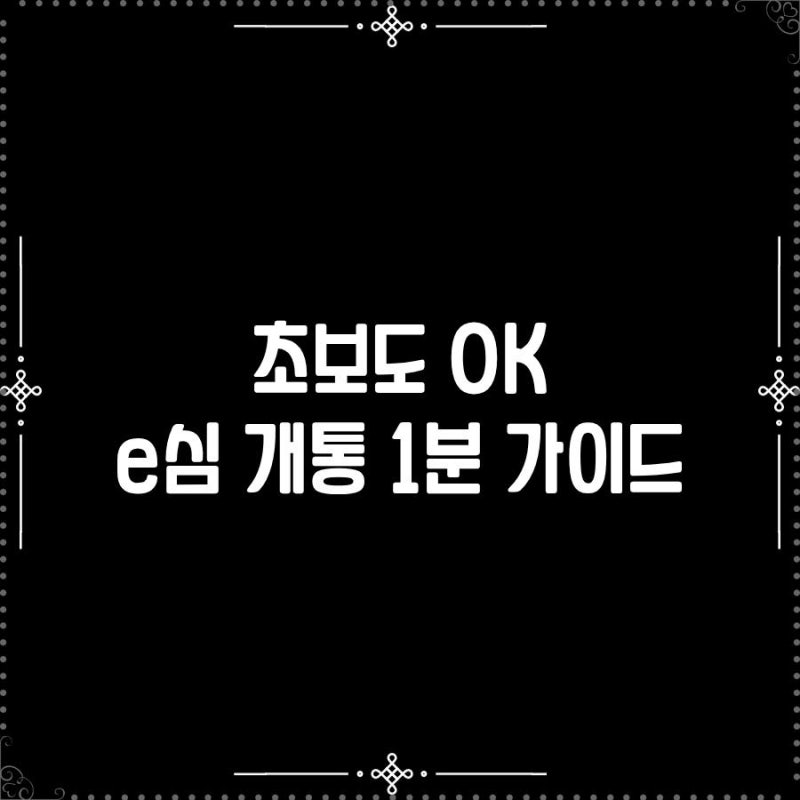 e심 사용법 완벽 정리｜아이폰,갤럭시 개통부터 설정까지 한 번에 끝!