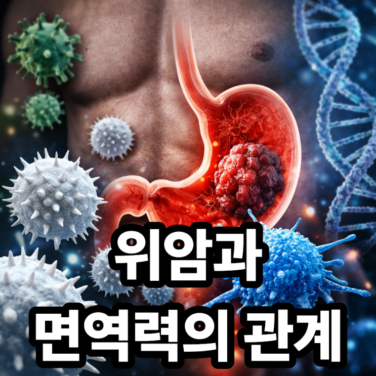 위암과 면역력의 관계, 왜 중요한지 쉽게 이해하기