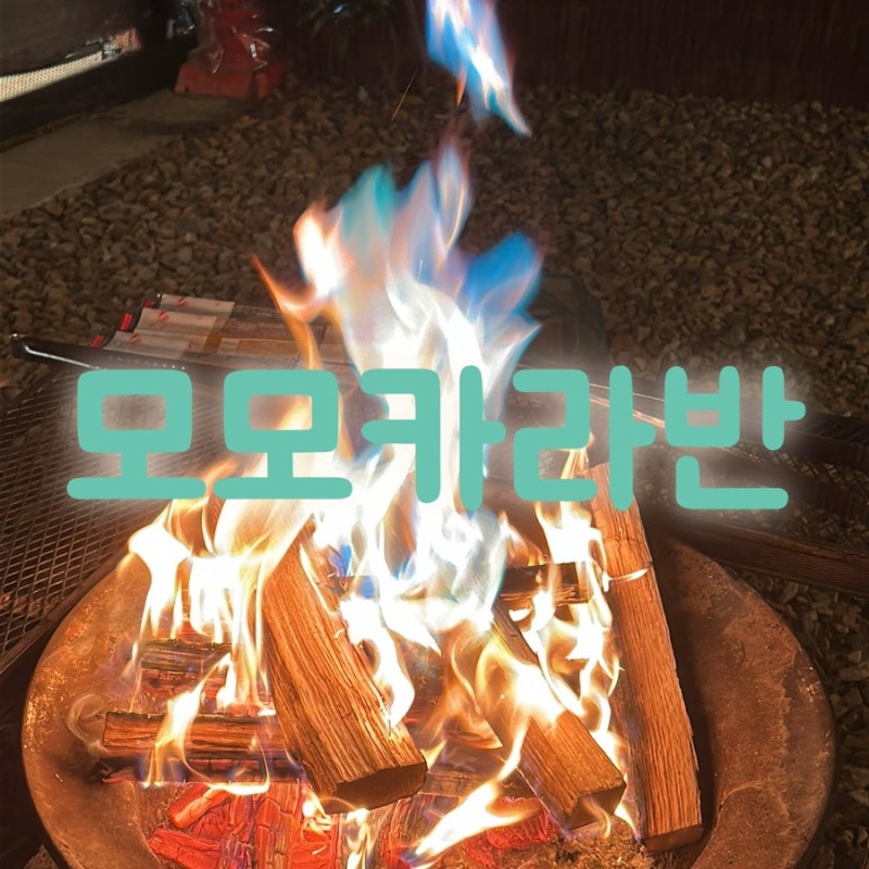 사진 3