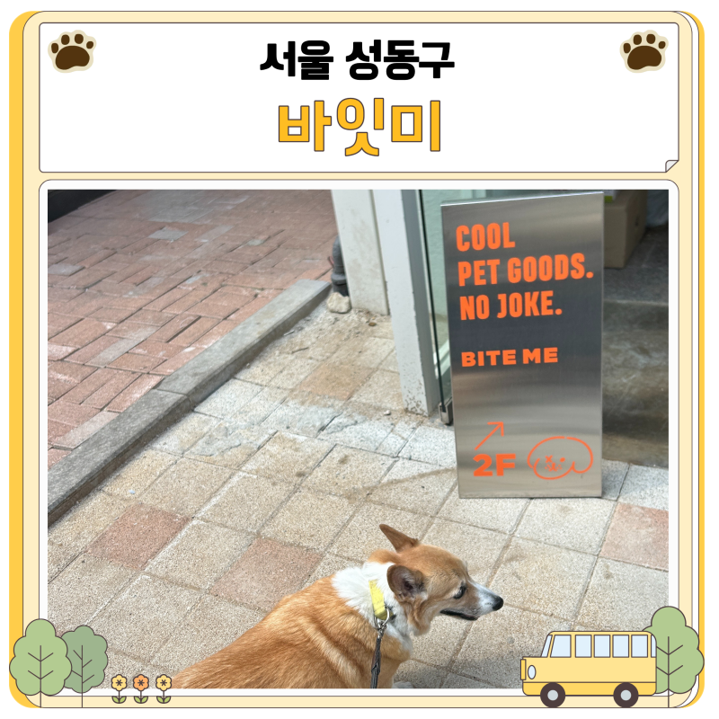 성수 바잇미 서울숲점 강아지 옷 용품 애견 동반 편집샵