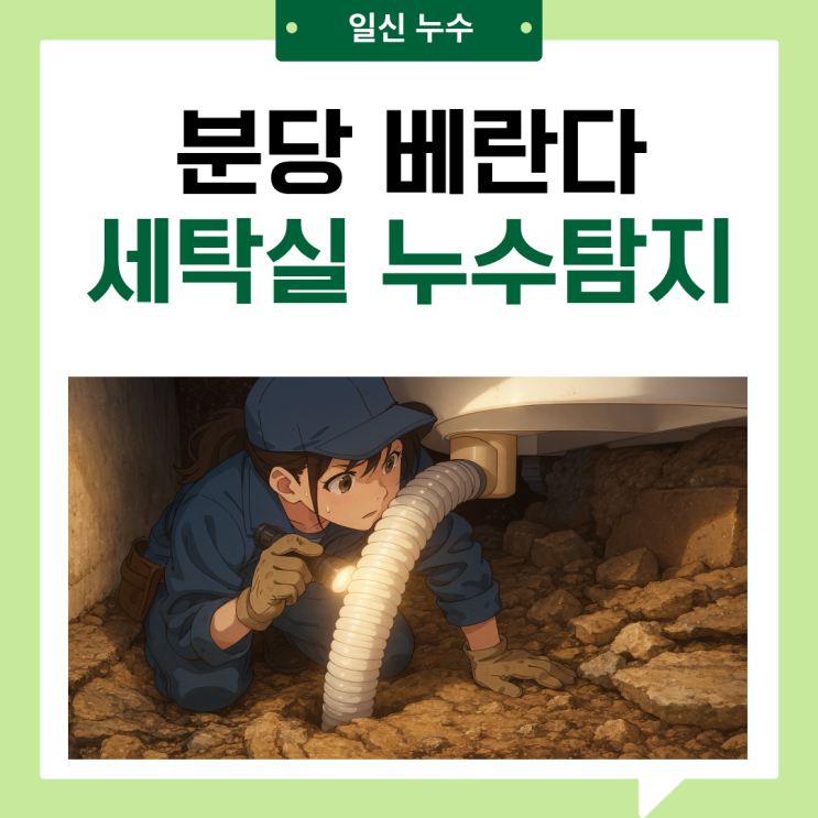  분당 베란다 세탁실 누수 금곡동 유가 방수공사