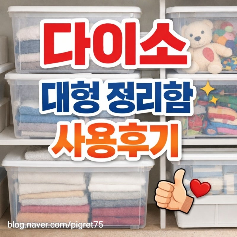 다이소 정리 대형 수납함 가격 크기 실제 사용 후기 봄맞이 정리