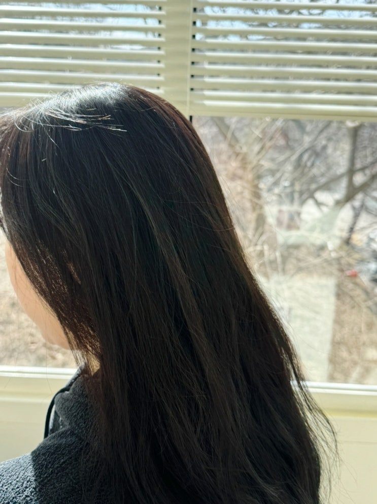  자연스러운 볼륨 두피 고민 해결!몽잘 바리스칼프 로즈마리샴푸
