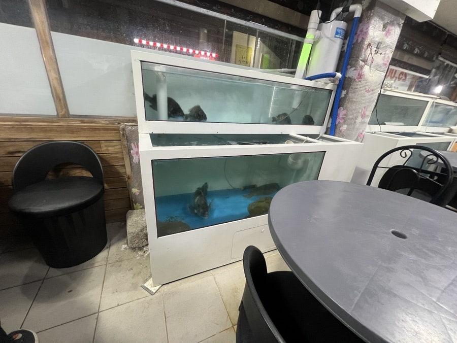 봉학회수산 사진 6