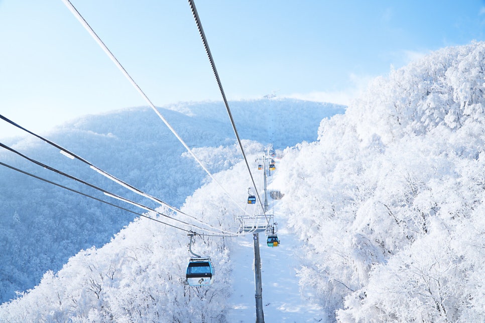성대수산 사진 4