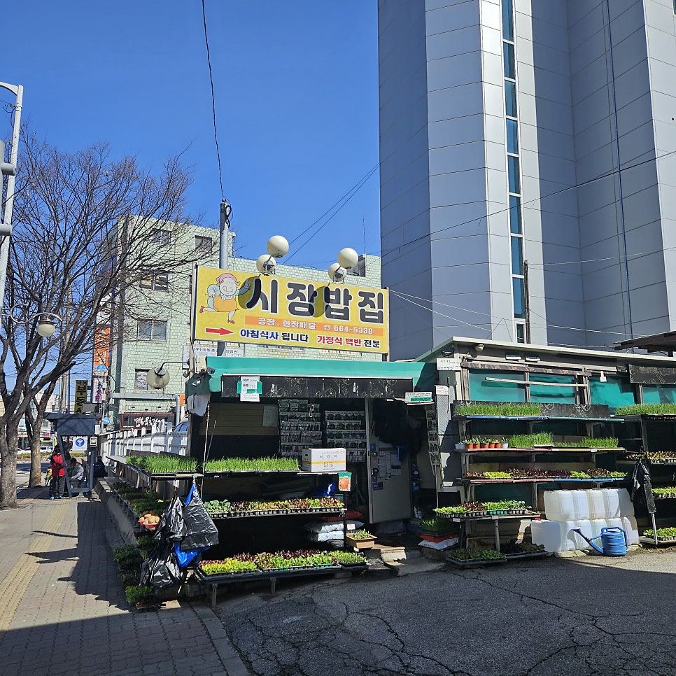 시장밥집 사진 3